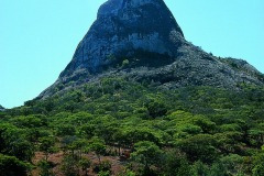 thumbs_03491.P127