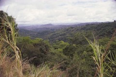 03491.P132A
