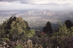 03491.P163