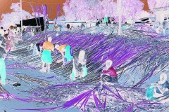 03491.P176