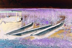 03491.P177