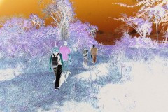 03491.P181B