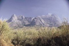 03491.P197