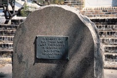 03491.P223B