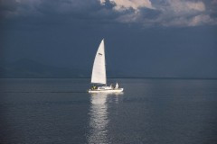03491.P233