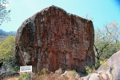 thumbs_03491.P245B