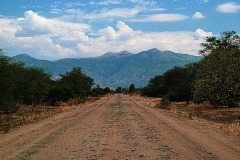 thumbs_03491.P251B