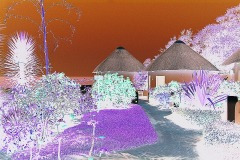 thumbs_03491.P259B