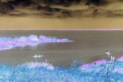 03491.P261