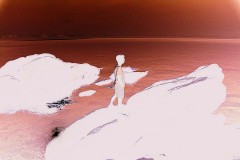 03491.P273