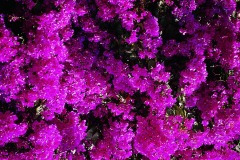thumbs_03491.P316A