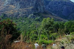 thumbs_03491.P325A