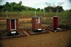 thumbs_03491.P335C