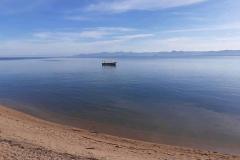 thumbs_IMG-20210214-WA0009