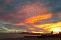 thumbs_IMG-20210214-WA0012