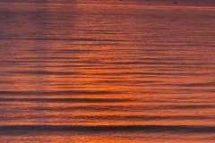 thumbs_IMG-20210214-WA0018