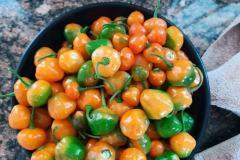 thumbs_IMG-20210217-WA0017