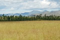 thumbs_IMG-20210217-WA0034