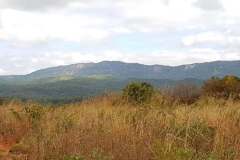 thumbs_IMG-20210217-WA0038