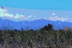 thumbs_IMG-20210217-WA0047