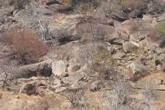thumbs_IMG-20210217-WA0050