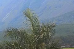 thumbs_IMG-20210217-WA0057