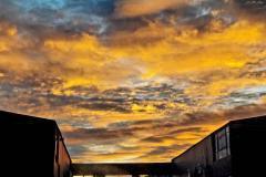 thumbs_IMG-20210217-WA0062