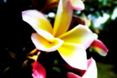 thumbs_Lake-Shots-21_1000