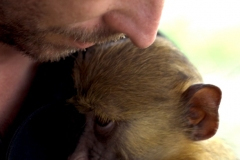 thumbs_lee-and-baboon